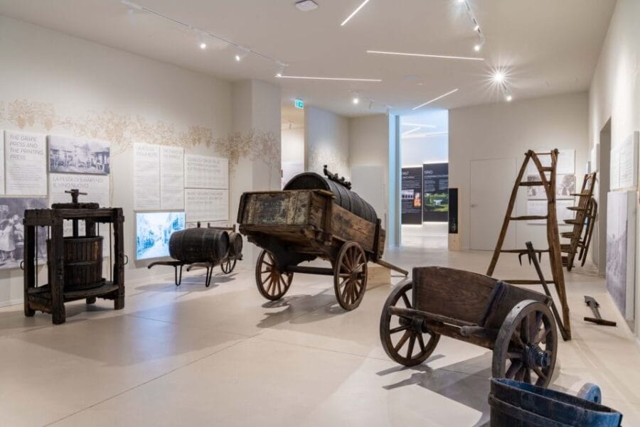 Taste with us Bardolino, Chiaretto and Lugana near Verona - The Cellar and the Wine Museum