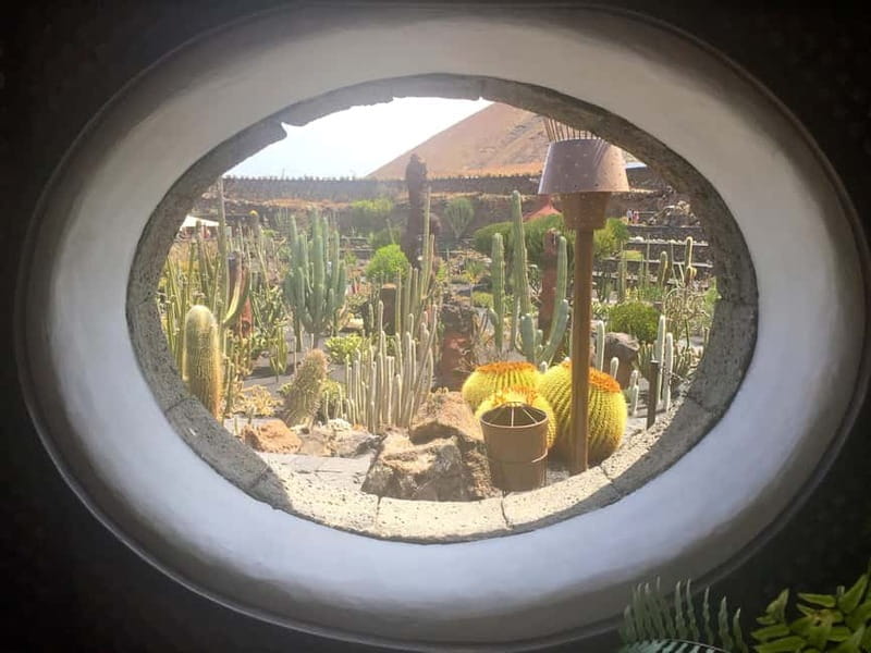 Teguise Vip Tour Minibus: Flea market, LagOmar, Cactus garden, Foundation - Who Is This Tour Best For?