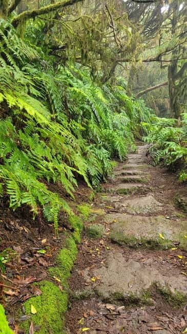 Tenerife Anaga Mountains: Circular hike in the laurel forest - Concluding Thoughts