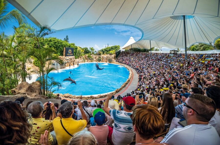 Tenerife: Loro Parque Entry Ticket - Entering the World of Loro Parque