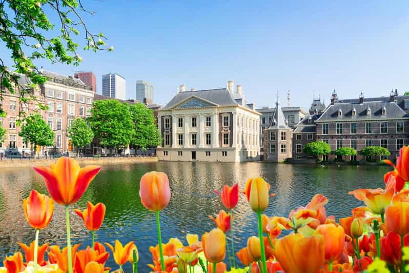 The Hague: Insta-Perfect Walk with a Local - A Genuine Look at the Insta-Perfect Walk