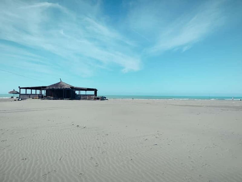 Tirana to Bylis & Apollonia: Private day trip - Price and Logistics