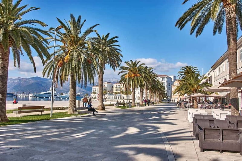 Tivat private tour from Kotor - Exploring Tivat: A Glimpse of Coastal Charm and Luxurious Living