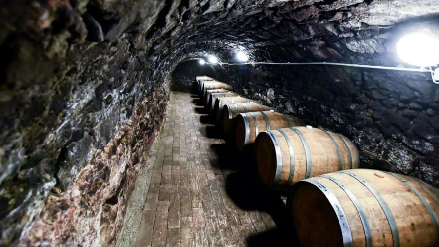 Tokaj: Vineyard Tour & Tasting - The Personal Touch and Authentic Experience