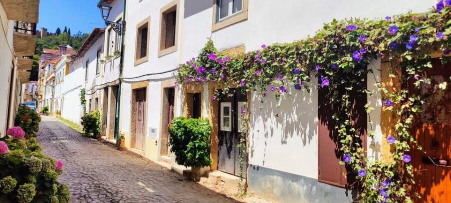 Tomar and Almourol: A Day of Templar Heritage (From Lisbon) - Who Would Love This Tour?