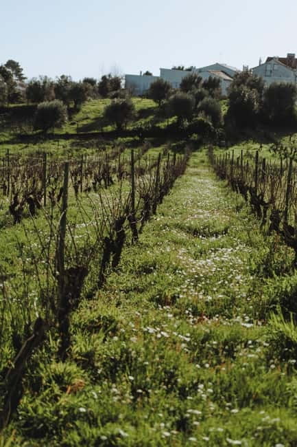 Tomar: Yoga, Meditation and Regional Flavors - FAQs