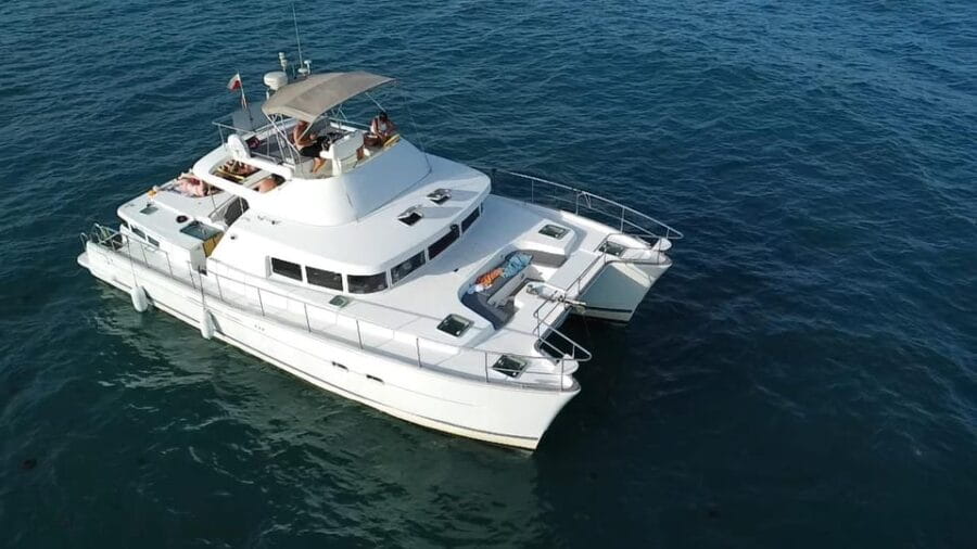 Torrevieja: Isabel alba catamaran tour 4 hours - Who Will Love This Tour?