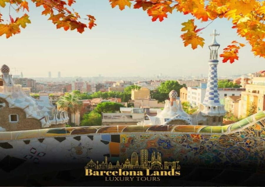 Tour private Luxury Barcelona & Lunch - Price and Value: Is It Worth It?