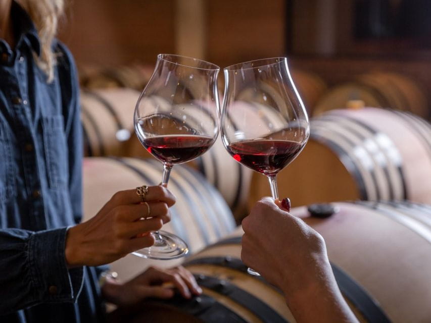 Tramin/Termeno: Winery Tour & Wine Tasting, J. Hofstätter - Entering the Heart of Alto Adige Wine Culture