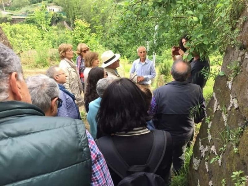 Tramonti: "Re Fiascone" Tomato Tasting - Exploring the Re Fiascone Tomato Tasting in Tramonti