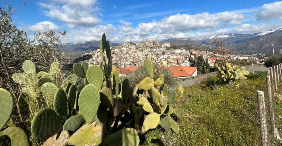 Trekking,room,tastings,dinner - Practical Details and What You Need to Know