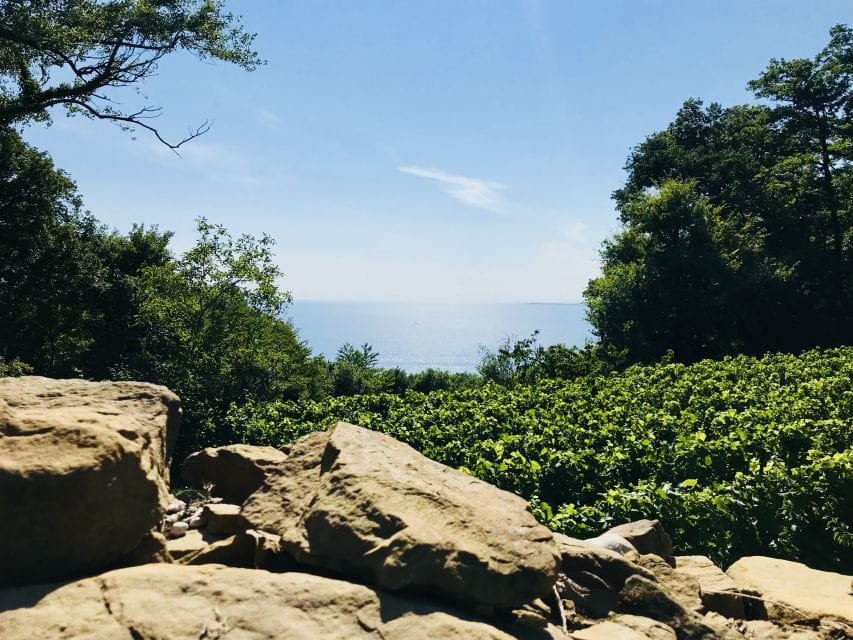 Trieste: 2.5-Hour Prosecco Origins Tour and Tastings - The Value and Practicalities