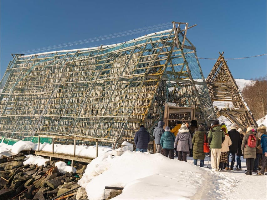 Tromsø: Arctic Fjord Cruise With Stop On Land At Fish Racks - The Sum Up: Is It Worth Your Time?