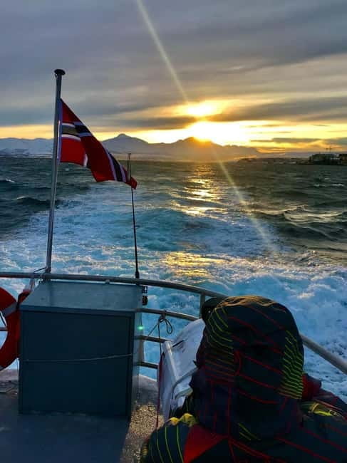 Tromsø: Midnight Sightseeing Cruise All-inclusive - Who Will Love This Tour?