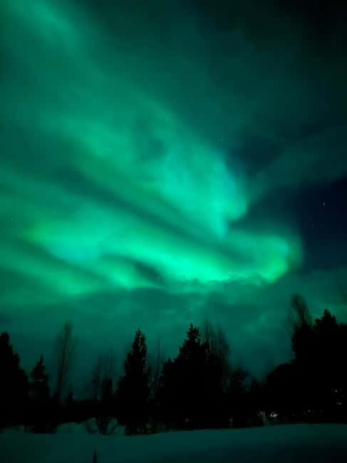 Tromsø: Northern Lights and a Starlit Adventure Tour - Price and Logistics: Good Value for an Authentic Experience