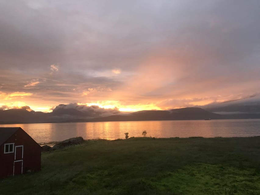 Tromsø: Norwegian farmvisit with guide - The Itinerary in Detail: From Arrival to Departure