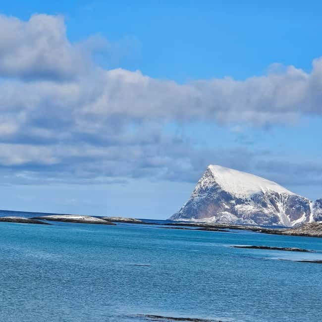 Tromsø: Sommarøy Islands, Kvaløya and Fjords Tour with lunch - Wildlife Watching and Natural Encounters