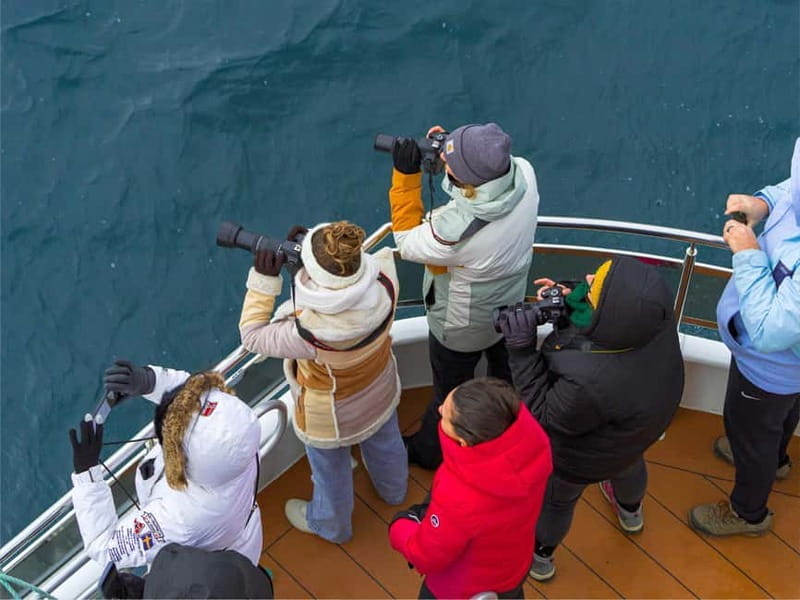 Tromsø: Whale Watching on hybrid boat with scenic bustrip - The Tech and Its Impact: The Hybrid Advantage