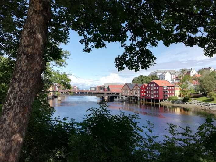 Trondheim : Explore the city of kings with a local guide - The Itinerary in Detail: What You Can Expect