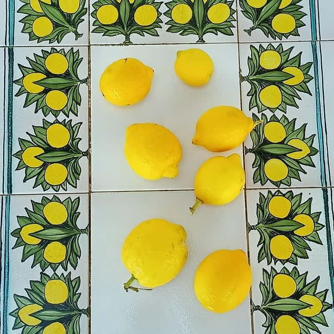Tropea: Lemon Experience with Limoncello Making - Final Thoughts: Is It Worth It?