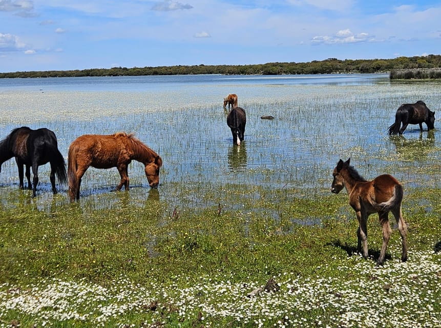 Tuili: Wild Giara Tour - Price and Value: Is It Worth It?