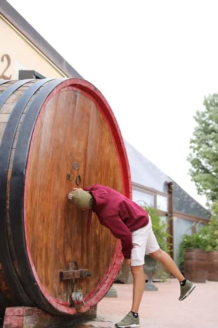 Tuscany Florence day trip with Vinery Lunch from Rome - The Culinary Experience: Vine Tasting & Lunch in a Local Vinery