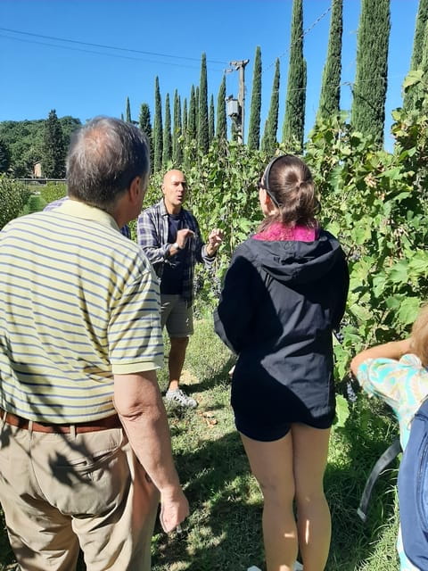 Tuscany from Rome- Pienza and Montepulciano private day tour - Final Thoughts