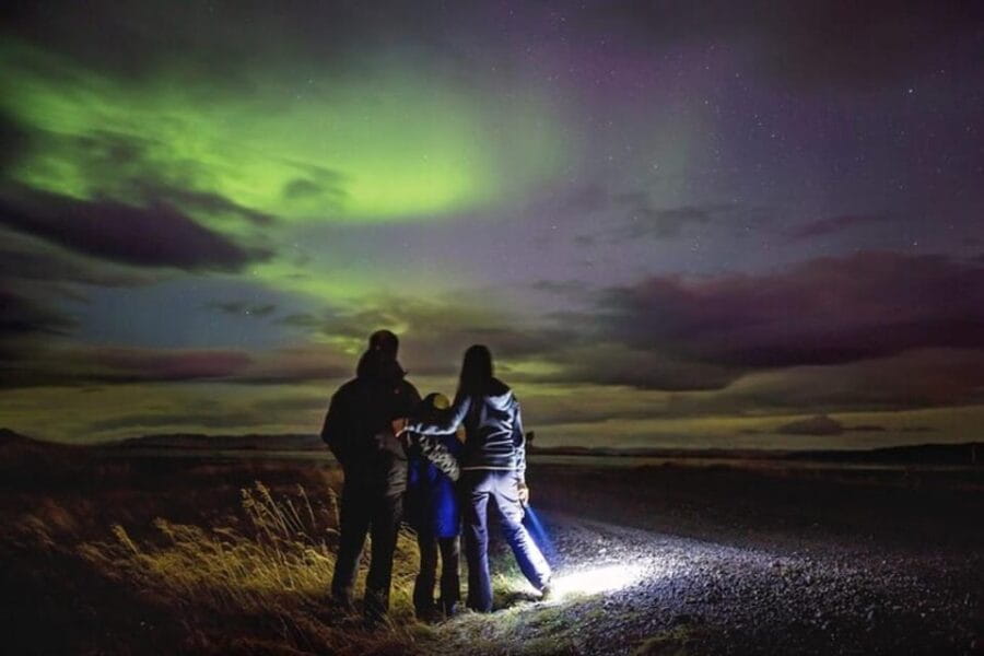 Unforgettable and Fabulous Northern Lights in Reykjavík - Price and Logistics: Is It Worth It?
