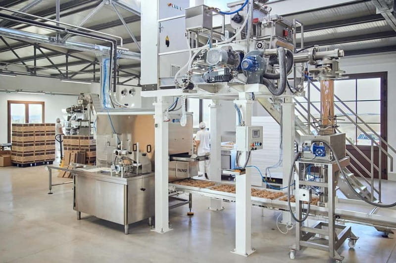 Val d'Orcia: Mill and Pasta Factory Tour with Tasting Lunch - A Close Look at Grain Processing