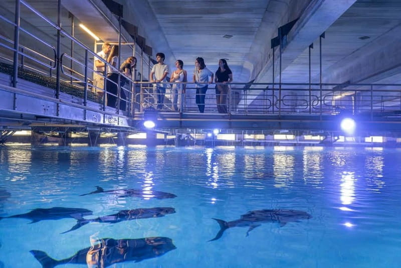 Valencia Oceanogràfic Entry with Backstage tour in Spanish - What the Tour Includes