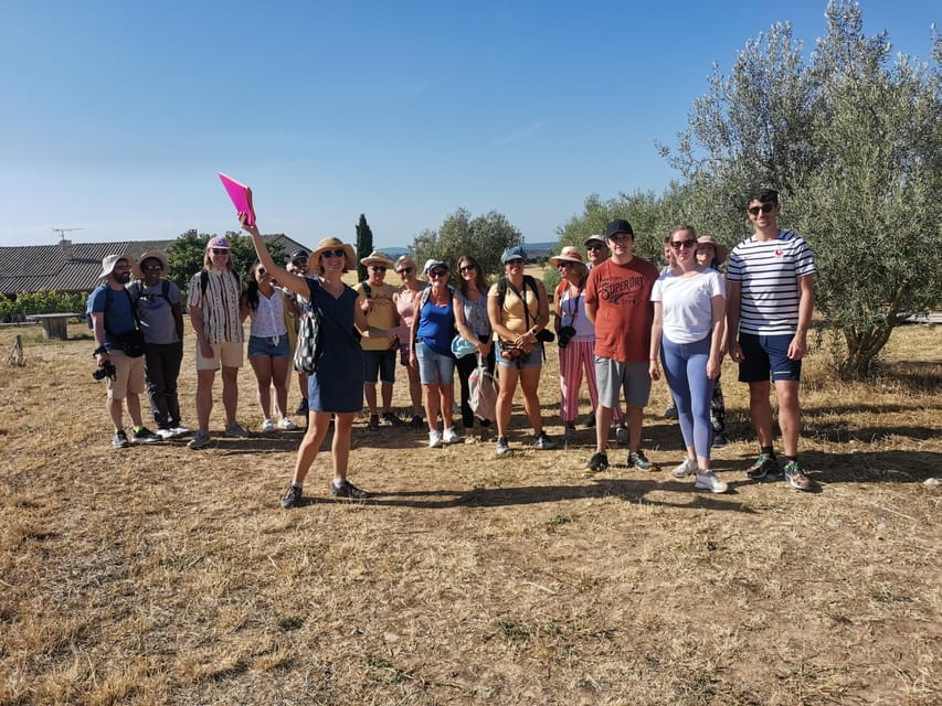 Valensole : Visit of a winery and lavender farm - Who Will Love This Experience?