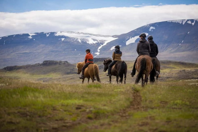 Varmahlid: Viking Horse Riding Tour - Why This Tour Works Well