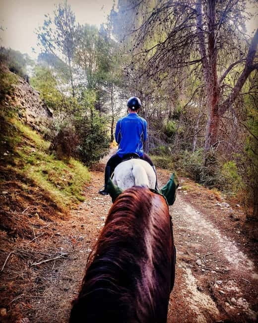 Villajoyosa: Horseback Riding in the Mountains - The Experience of a Guided Horseback Ride
