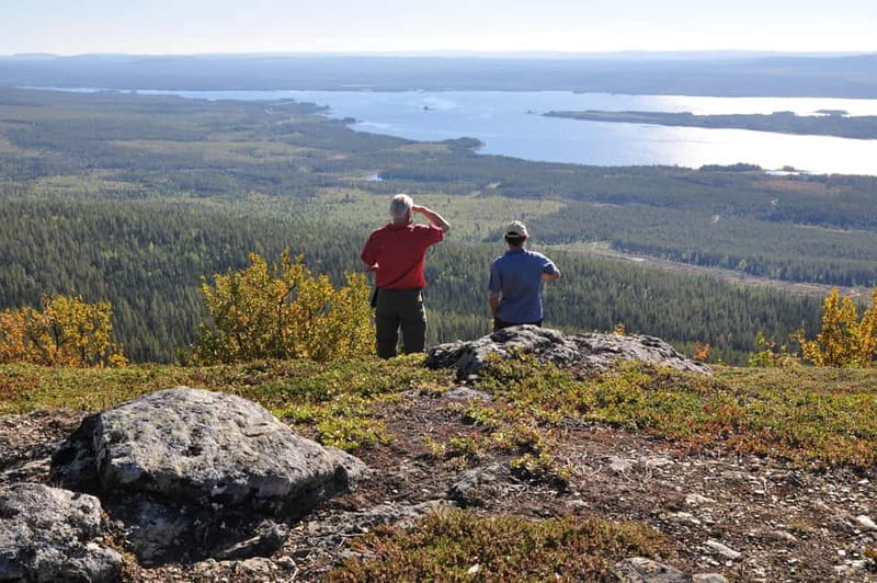 Vindelfjäll nature reserve: A walk through reindeer country - An Authentic Walk in the Heart of Lapland