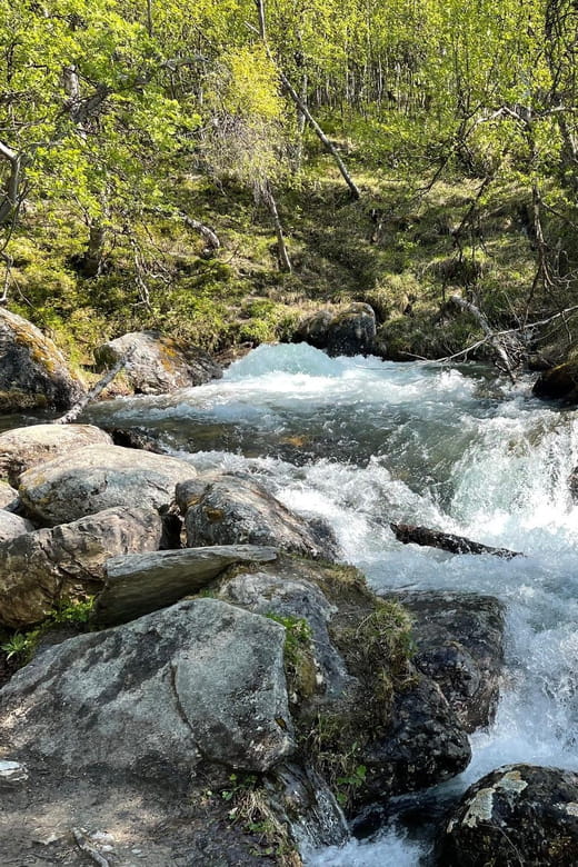 Visit Bubbelen, river comes out of the ground. - Who Will Love This Tour?