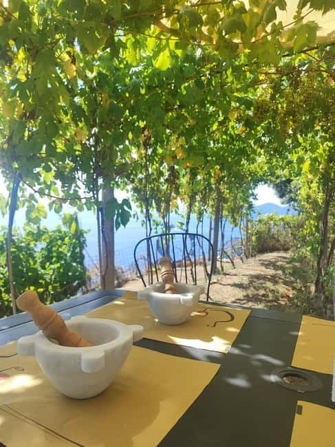 Volastra: BarCa Wine Tasting in Cinque Terre and Pesto Class - Price and Logistics: Is It Worth It?