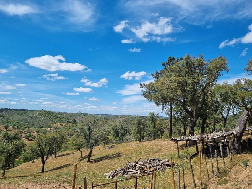 Walk through Hills With a Local Goat Herder and Their Goats - The Tasting: A Farm-Fresh Flavor Explosion