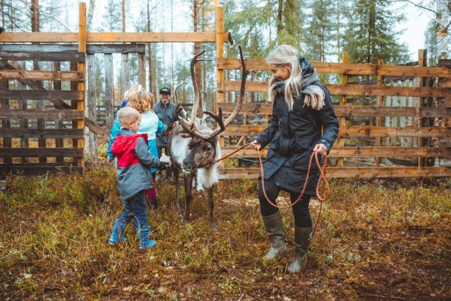 Walk with Reindeer - Who Will Love This Experience?