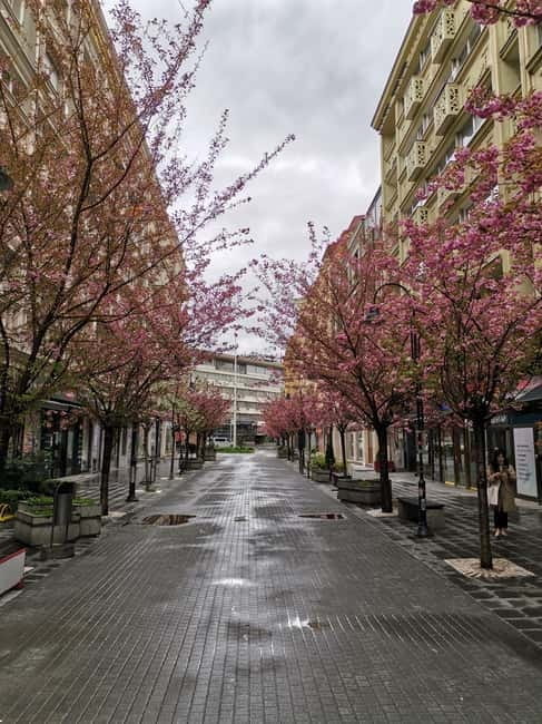 Walking in Skopje - The Real Value of a Private, No-Fuss Tour