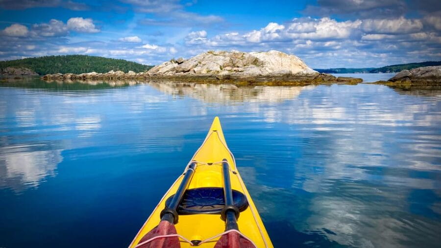 West Sweden: Paddle with seals - Why the Seals and Birds Matter