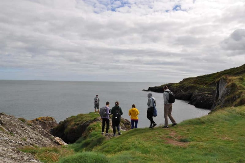 Wicklow: Guided Cliff Walk with Seals and Town Tour w/Picnic - Walking the Cliff Caves and Spotting Wildlife