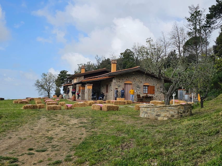 Win near Florence lunch or dinner in a traditional Tuscan farmhouse - What to Expect: A Step-by-Step Breakdown of the Experience