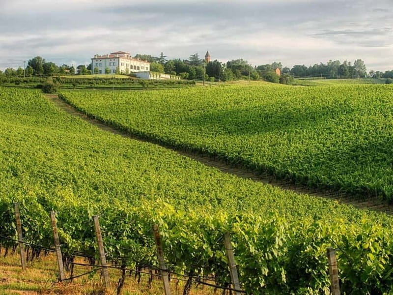 WINE EXPERIENCE & DOZZA - Private Day Tour from Bologna - The Itinerary in Detail