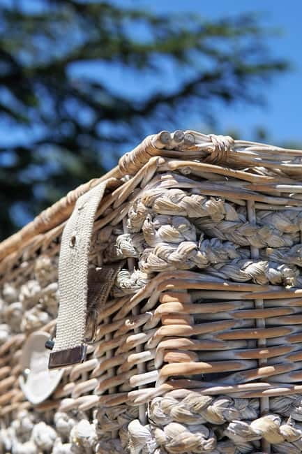Wine-Tour day: in the Gorges du Verdon - Exploring the Scenic Marvels of Provence in a Sidecar