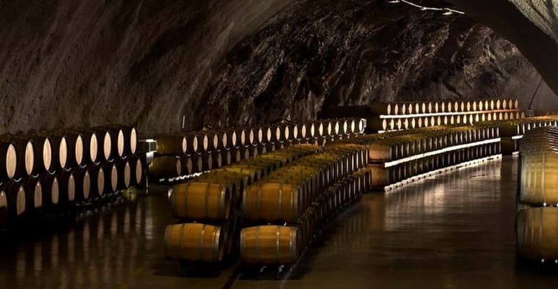 WINE TOUR: Recommended for hedonists! - Visiting the Largest Wine Cellar: A Closer Look at 13. Jul Plantae