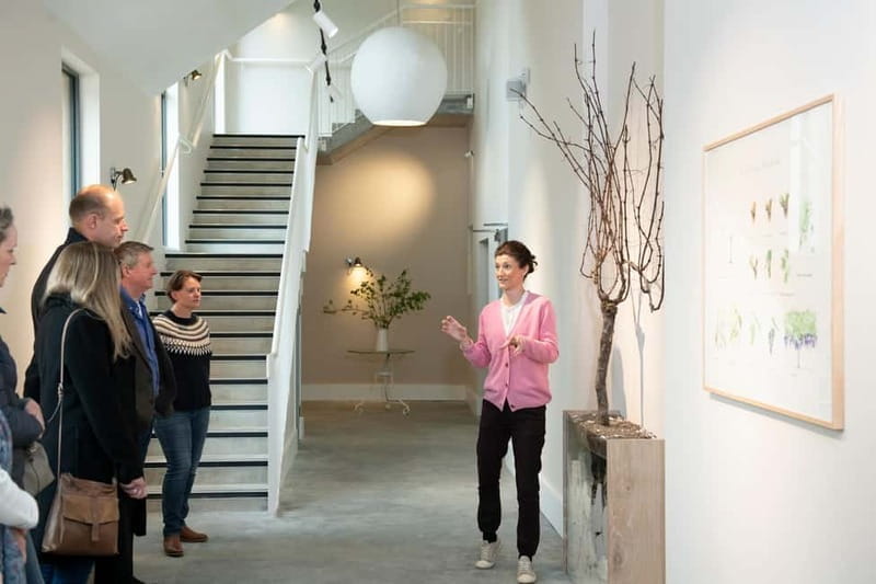 Wiston Estate: Winery Tour and Tasting - Exploring the Vineyards and Estate Grounds