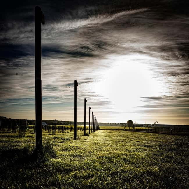 Yorkshire: Loversall Vineyard Wine Tasting and Tour - Why This Experience Stands Out