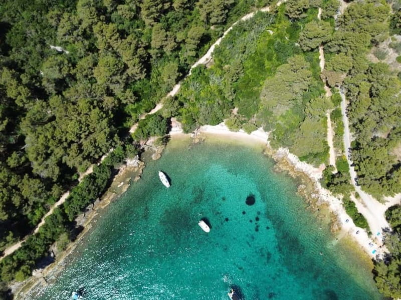 Zadar: 3 Islands Speedboat Tour with Drinks and Diving - Price and Practical Tips