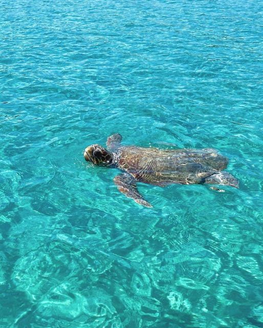 Zakynthos: Boat Rental - FAQs