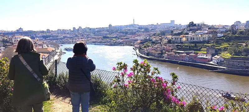 Zen Walking Tour Porto: Find Your Balance 2h - Discovering the Heart of Porto with Mindfulness